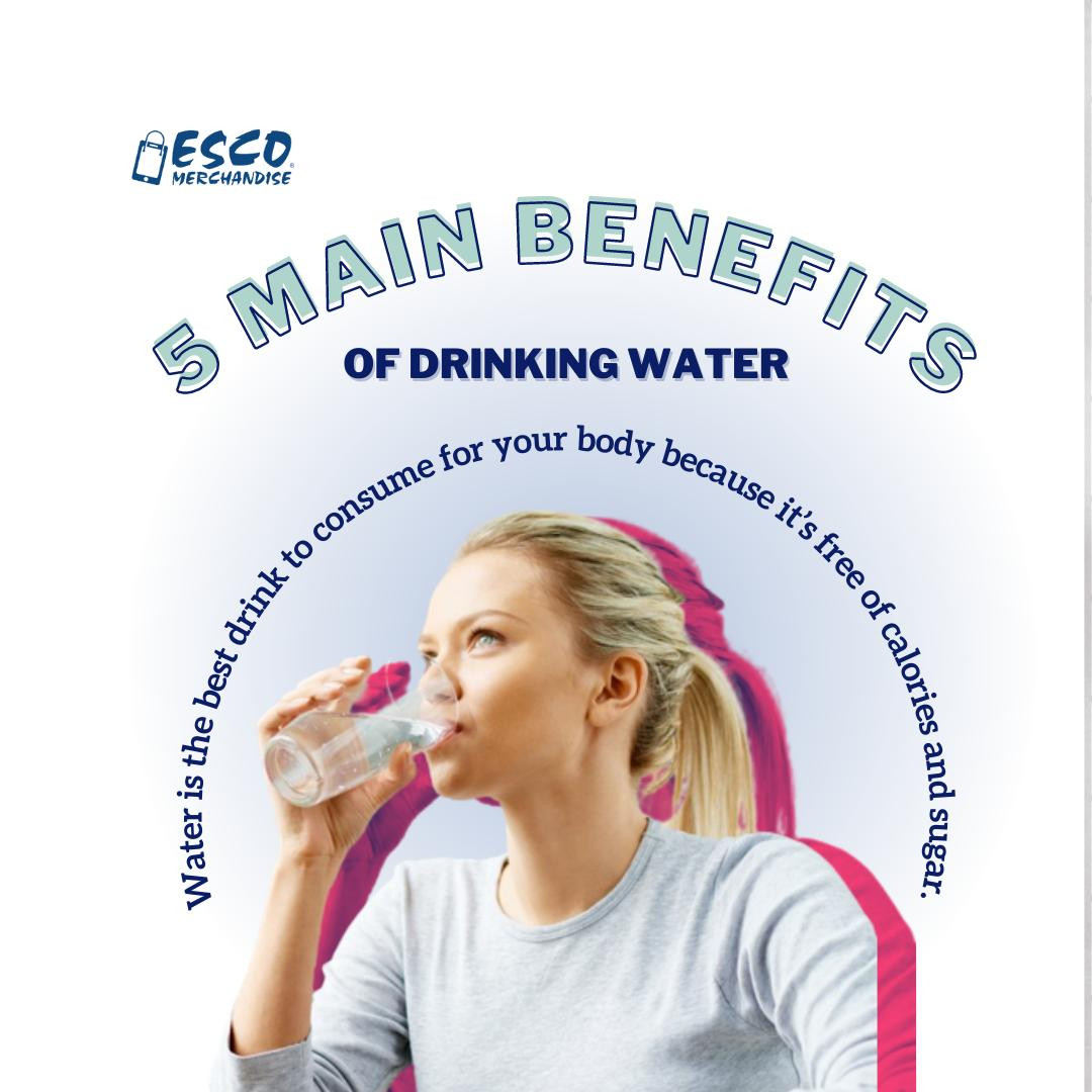 5 Main Benefits of Drinking Water
